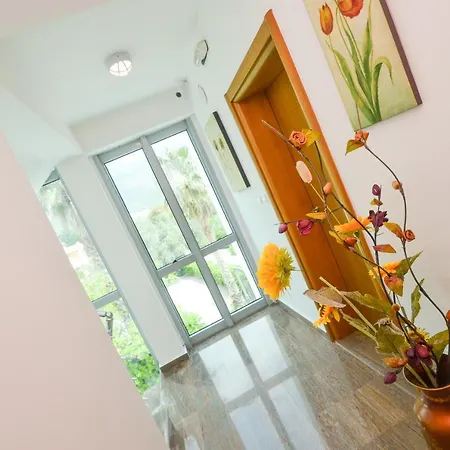 Ivanovic Apartment