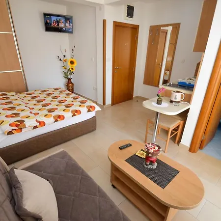 Ivanovic Apartment *
