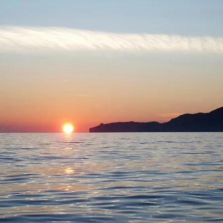 Ivanovic Budva